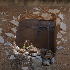 fotograf: Tomislav Brdjanović